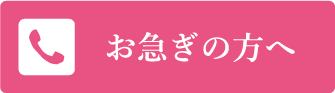 お急ぎの方へ